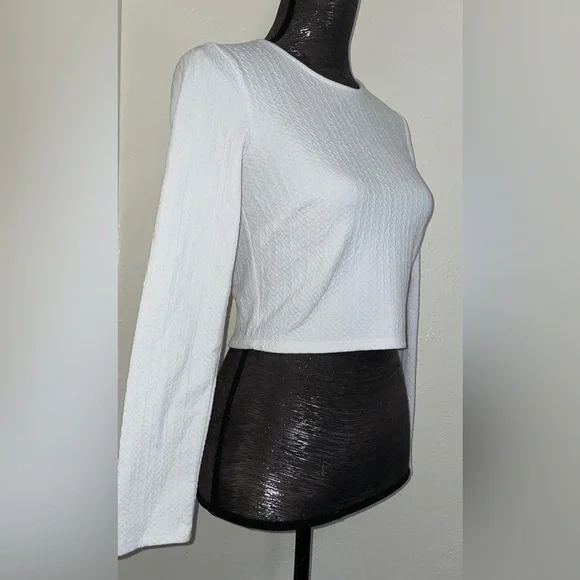 Long Sleeve Crop Top - Picture 4 of 14